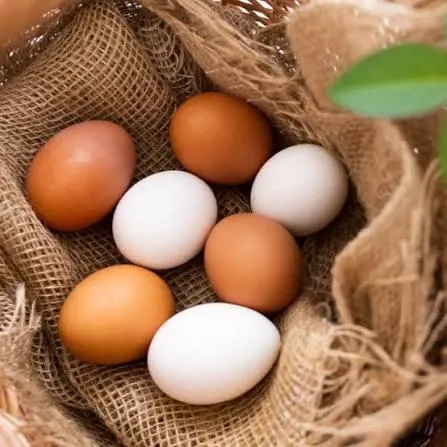 Eggs ready for wholesale distribution