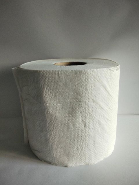 Toilet Paper Roll 2