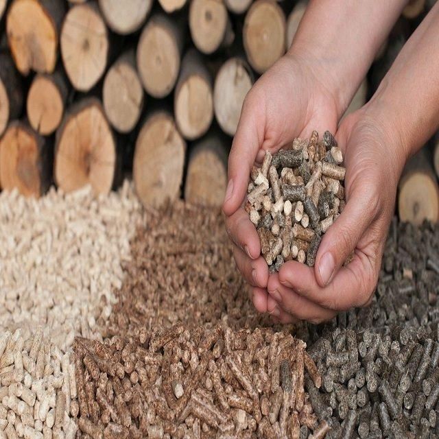 Beech Wood Pellets 15kg