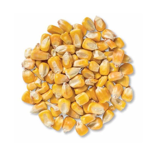 White Corn in Packaging