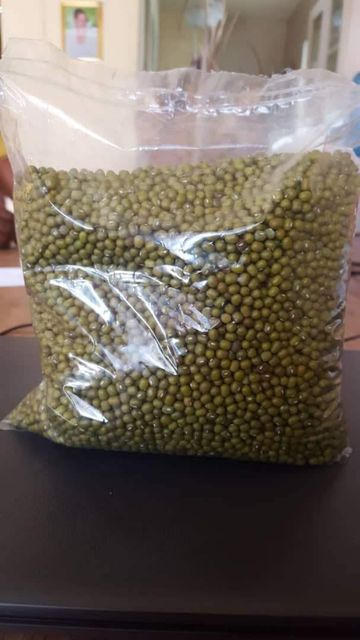 Fresh Green Mung Beans