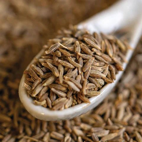 Cumin Seeds - Fresh and Whole