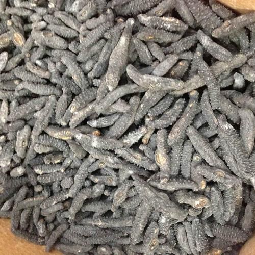 Dried Sea Cucumber 3