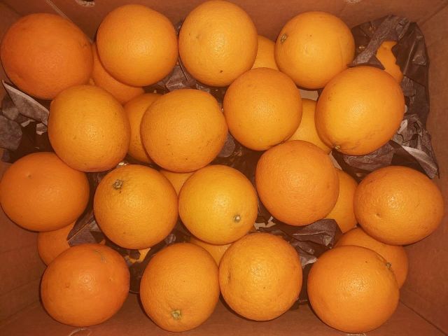 Sweet Mandarin Oranges