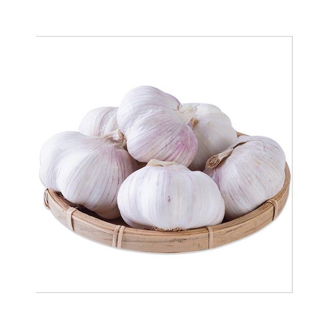 Fresh Garlic in Carton