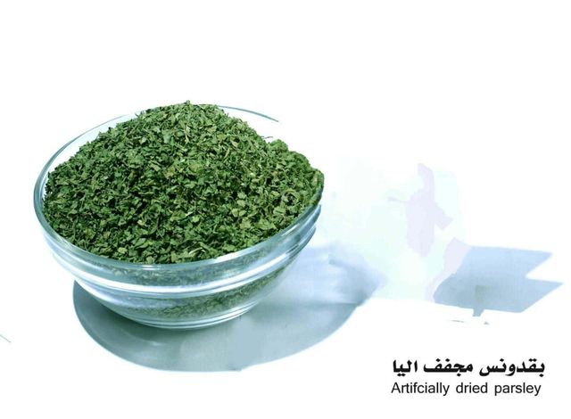 Aromatic Plant 4