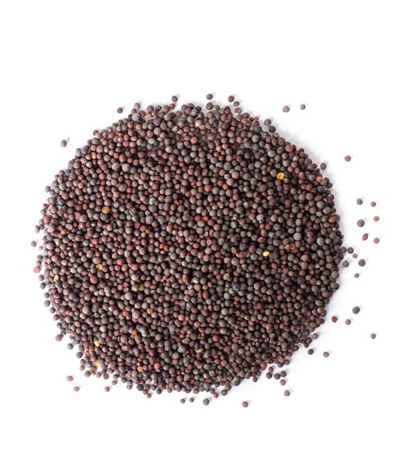 Mustard Seeds in Culinary Use