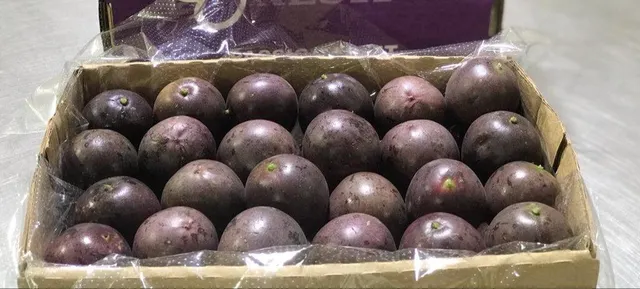 Passion fruits