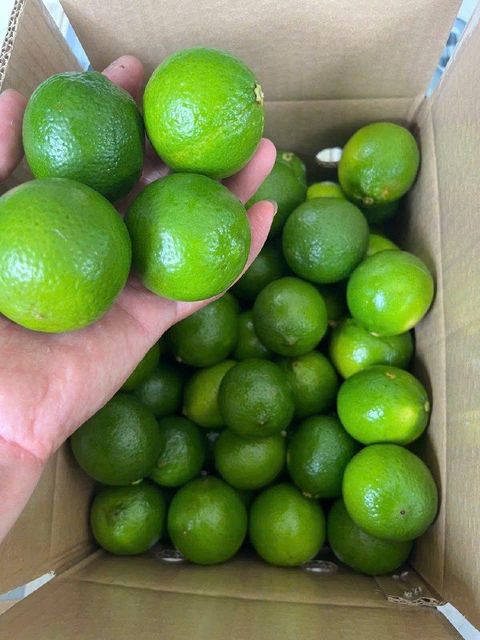 Vietnam Seedless Lemon