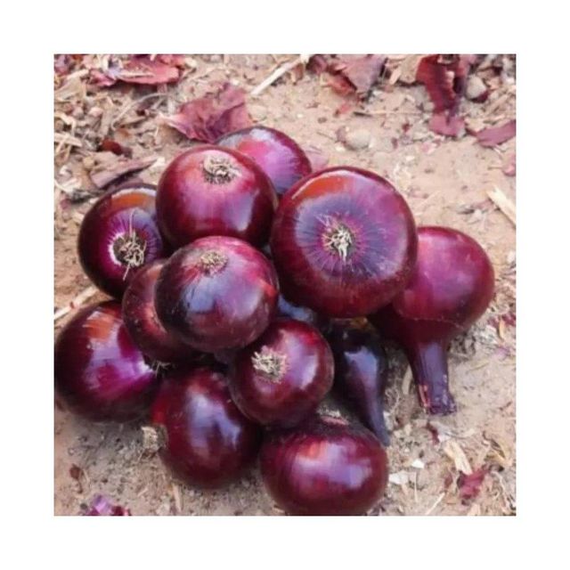Red Onion in Packaging