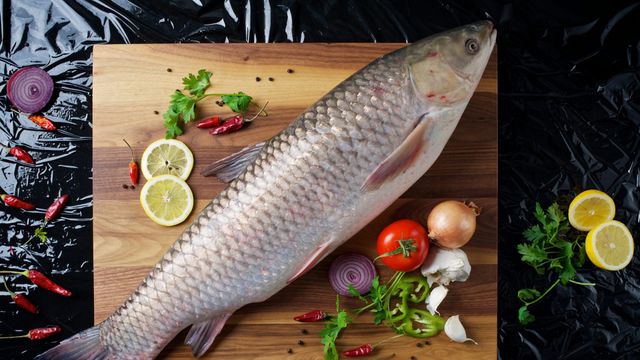 Carp Paprika