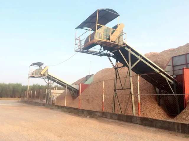 Pine Sawdust