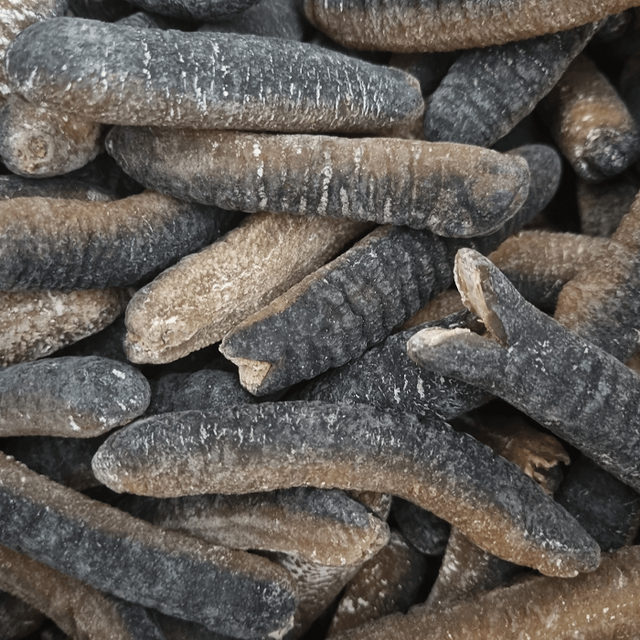 Natural Black Dried Sea Cucumber