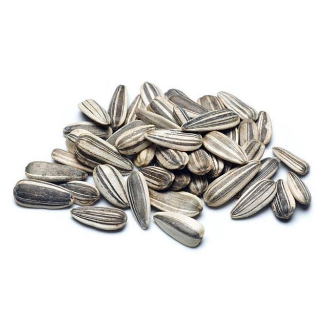 Close-up of sunflower seed kernel