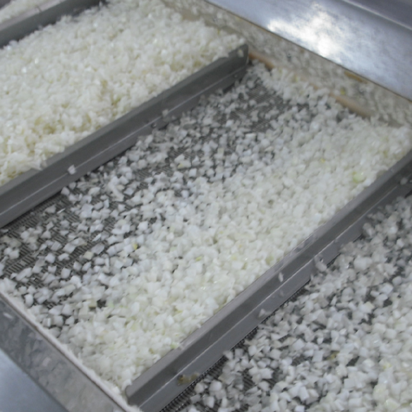 Premium White Onion Chopped