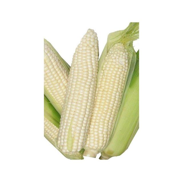 White Maize - Bulk Packaging