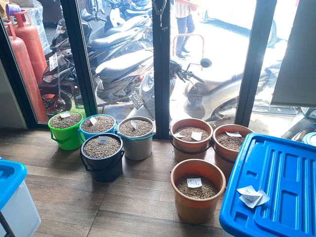 Grade 1 Robusta Dampit East Java Natural beans