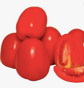 Fresh Tomato