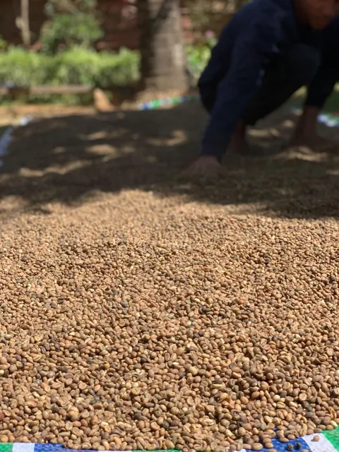 Arabic Coffee Beans Packaging 2
