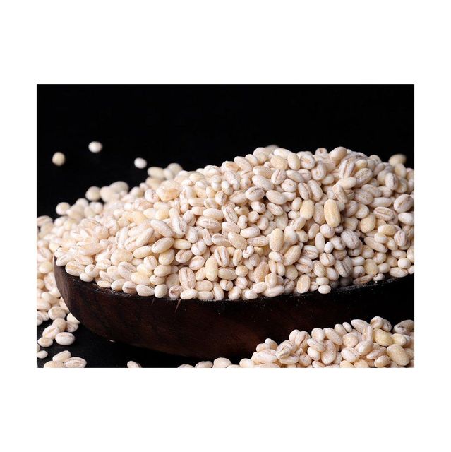 Barley seeds in storage container