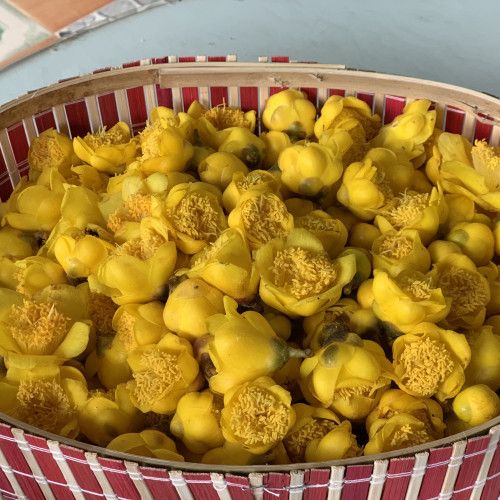 Yellow Flower Tea