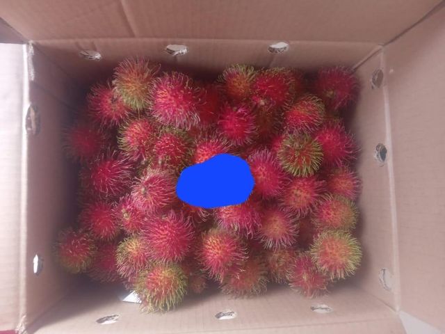 Fresh Rambutan 2