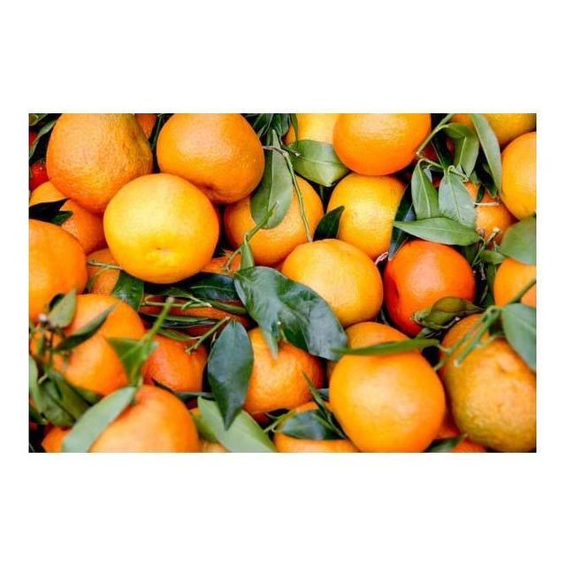 Valencia Orange - Close-up of skin and flesh