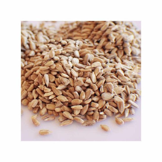 High Germination Alfalfa Seed