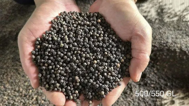 Black pepper in a wooden spoon