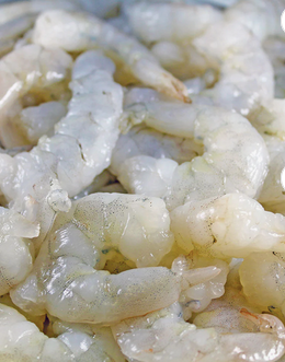 Wild Shrimp