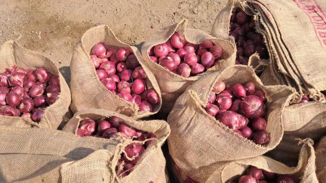 Export Quality Nasik Onions