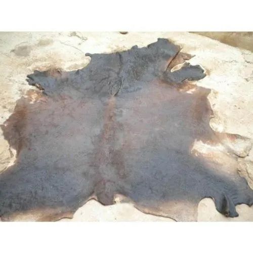 Donkey Hide Image 3