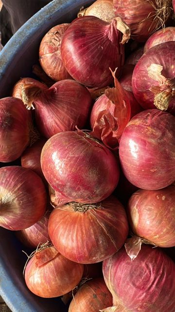 Onion Product 1