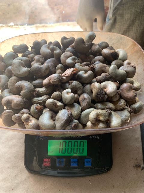 Raw Hazelnut