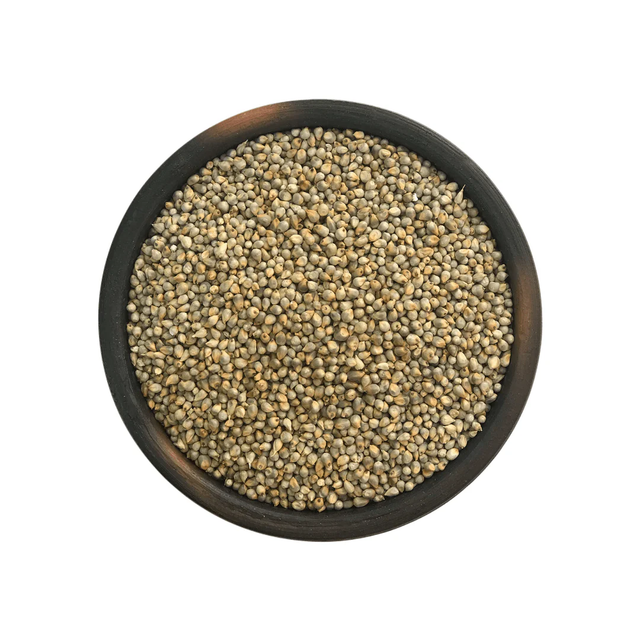 Pearl Millet Grain - Natural Bajra