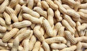 Groundnut Kernels Image 2
