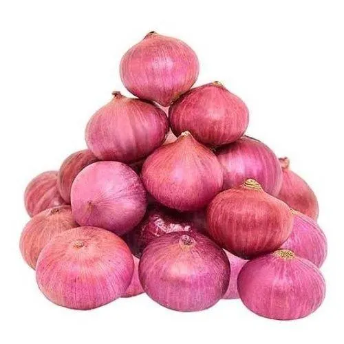 Fresh Red Onion