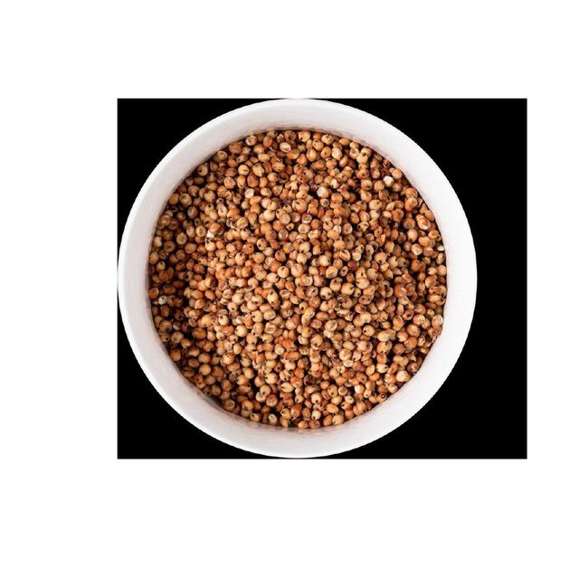 Sorghum Grains - Premium Grade