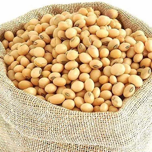 Soybeans Image 5