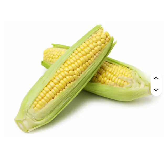Superior Yellow Maize Corn Dried Kernels - Image 1