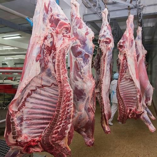 Halal Beef Product 2