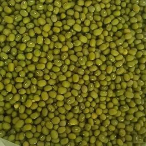 Green Mung Beans 4