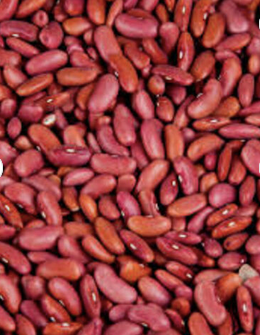 Dried Dark Red Kidney Beans