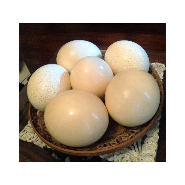 Fresh White Table Egg