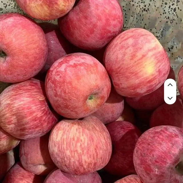 Fresh China Fuji Apples close-up
