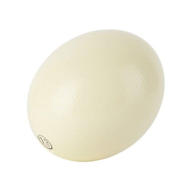 Fresh Ostrich Egg Packaging