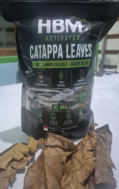 Catappa Meninggalkan Produk