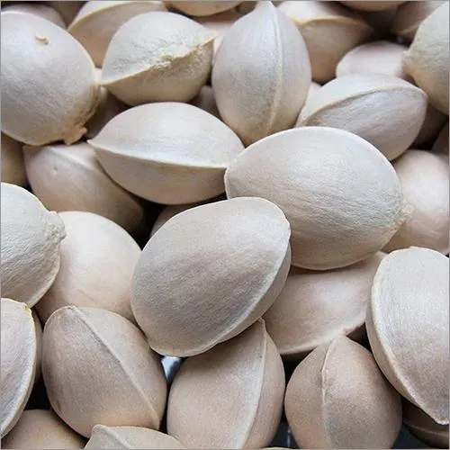 Ginkgo Nuts Image 4