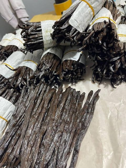 Vanilla Beans Close-Up