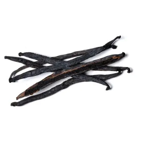 Premium Vanilla Beans Image 2